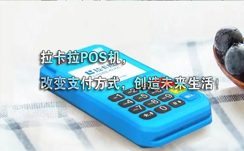 http://lakapos.com